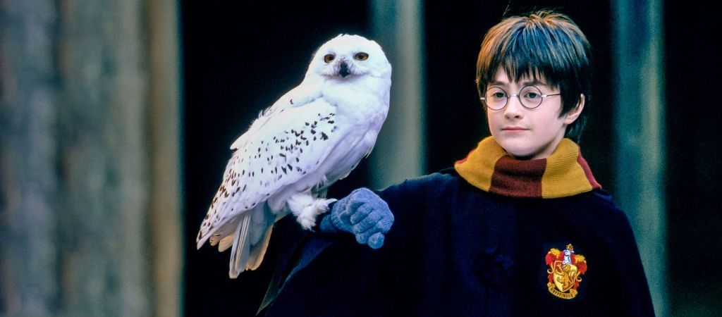 От «Гарри Поттера» до «Шрека»: 8 спин-оффов и перезапусков, которые мы увидим в ближайшие годы