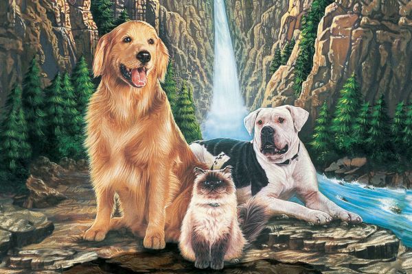 7 трогательных фильмов о дружбе человека и собаки