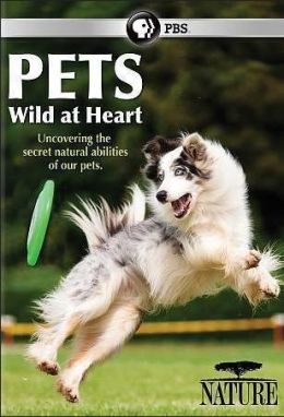 Pets: Wild at Heart