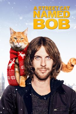 Уличный кот по имени Боб