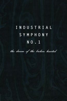 Индустриальная симфония номер 1. Мечта разбитых сердец