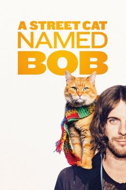 Уличный кот по имени Боб