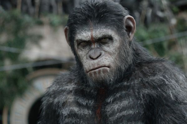 На съемках фильма «Планета обезьян: Революция»